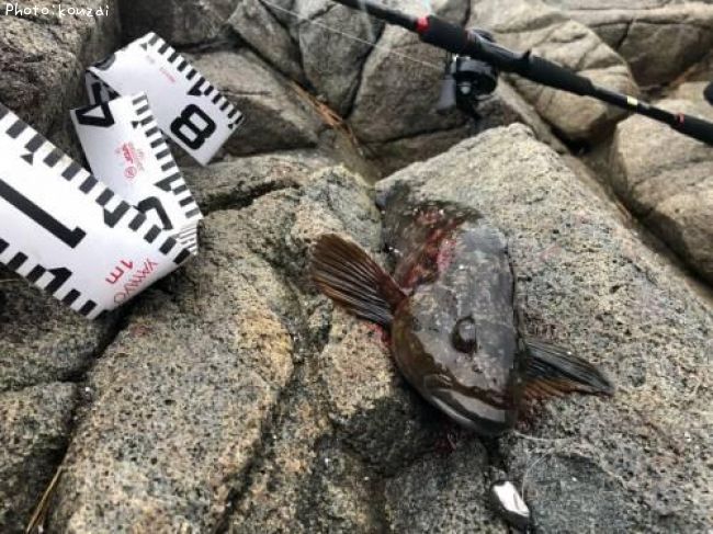 �����ʥ�