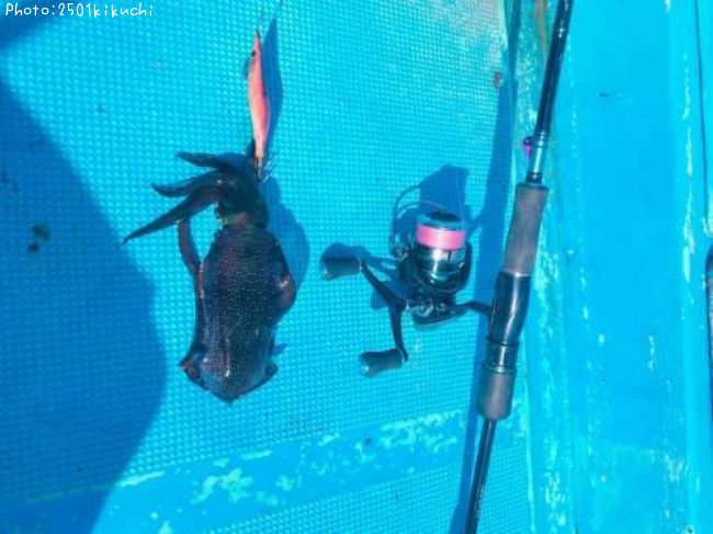 �����ꥤ��