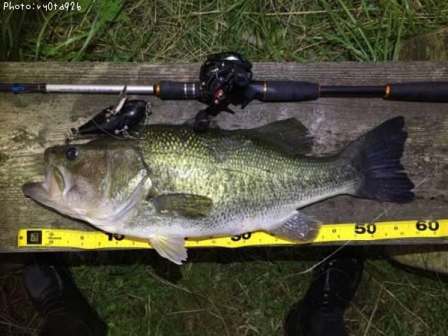 �֥�å��Х�