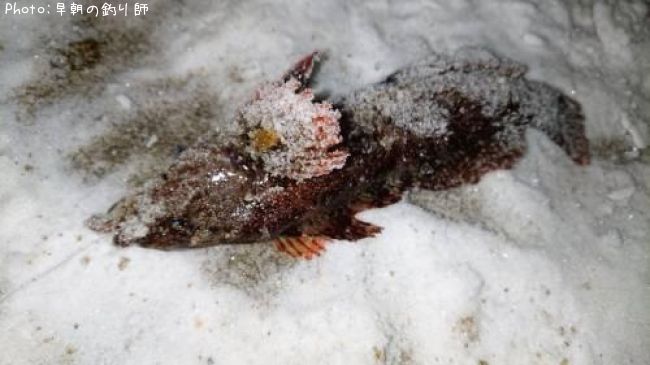 �����ʥ�