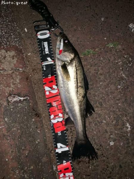 �����Х�