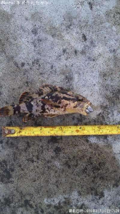 �����Υ���Х�