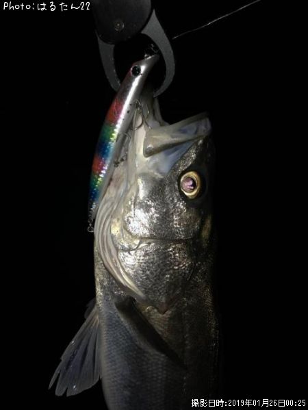 �����Х�