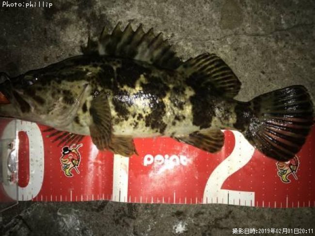 �����Υ���Х�