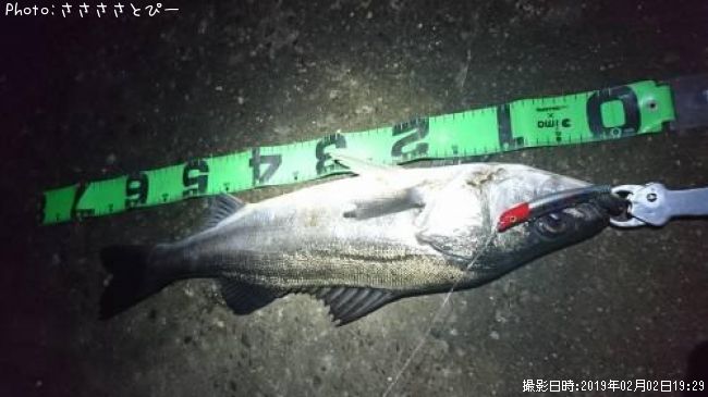 �����Х�