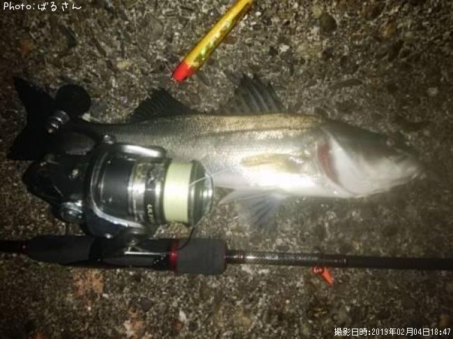 �����Х�