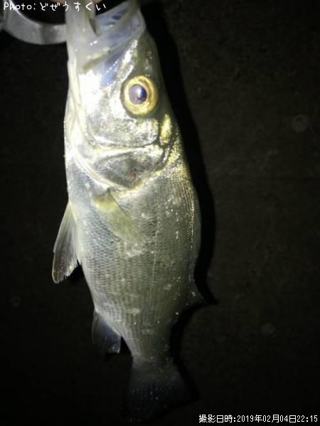 �����Х��ʥҥ饻������