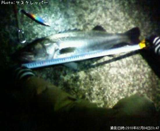 �����Х�