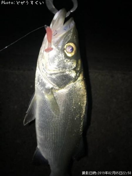 �����Х��ʥҥ饻������