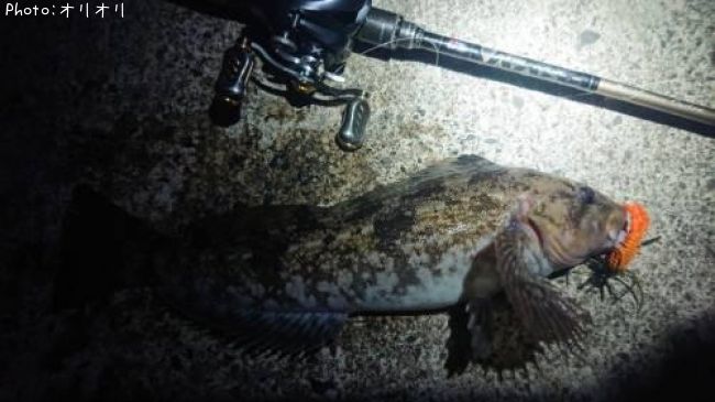 �����ʥ�