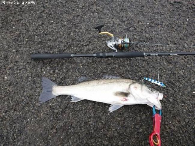 �����Х�