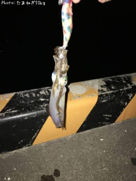 �����ꥤ��