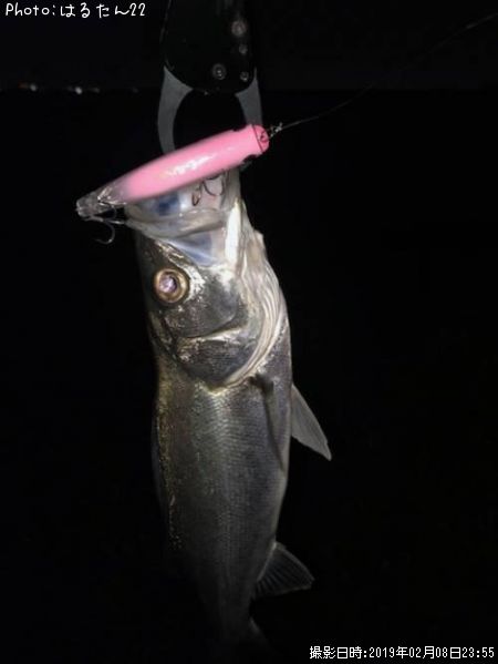 �����Х�