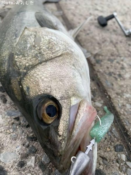 �����Х�