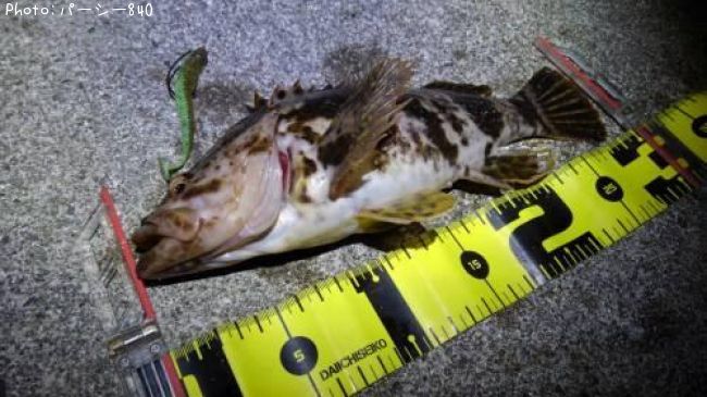 �����Υ���Х�