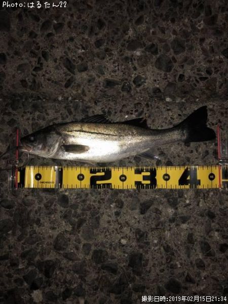 �����Х�