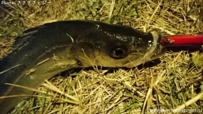 �����Х�