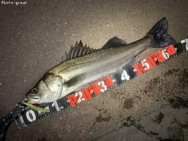 �����Х�