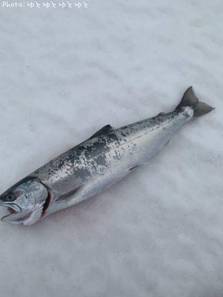 ������ޥ�