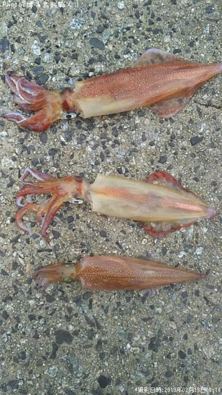 ��ꥤ�������󥵥�����