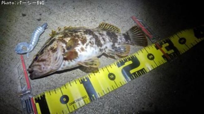 �����Υ���Х�