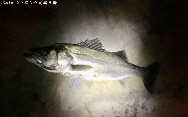 �����Х�