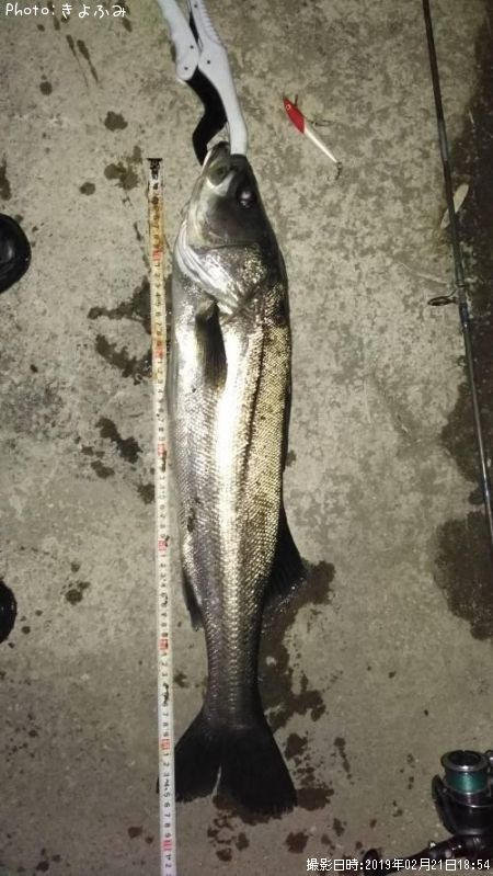 �����Х�