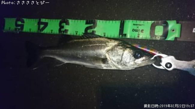 �����Х�