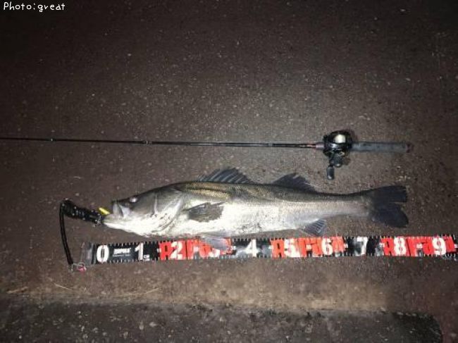 �����Х�