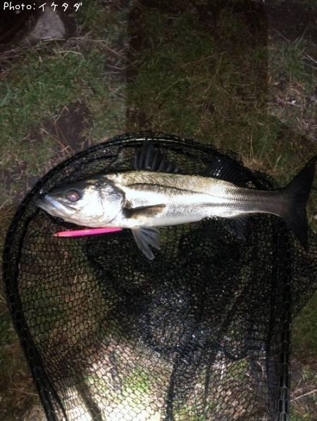 �����Х�