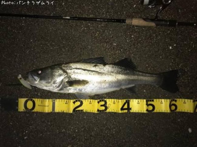 �����Х�