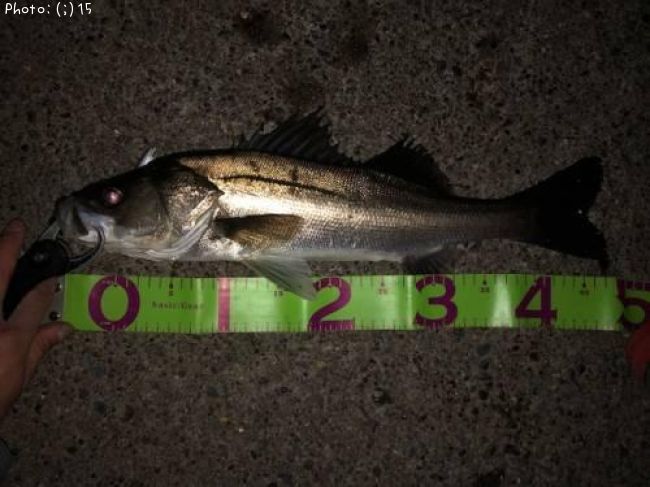 �����Х�