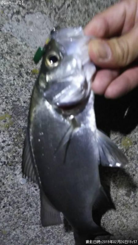 �����Х�