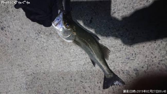 �����Х�