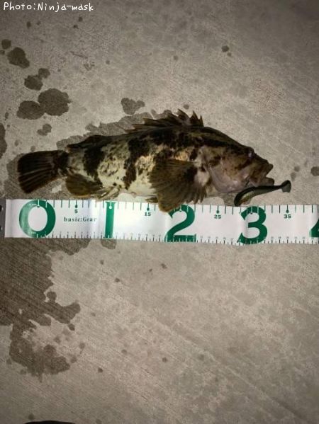 �����Υ���Х�