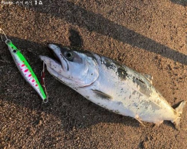 ������ޥ�