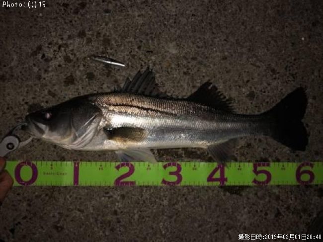 �����Х�