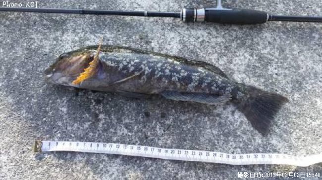 �����ʥ�