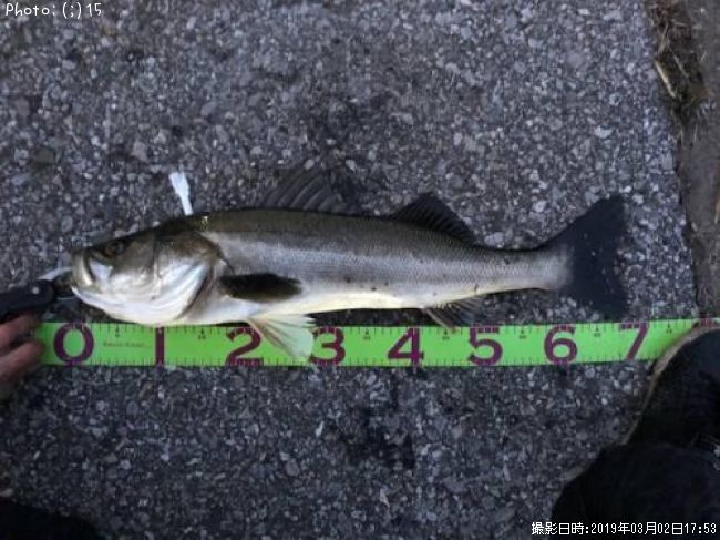 �����Х�