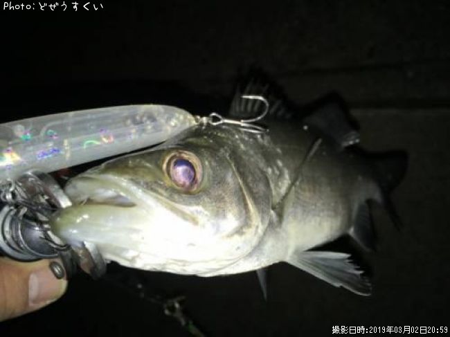 �����Х��ʥҥ饻������