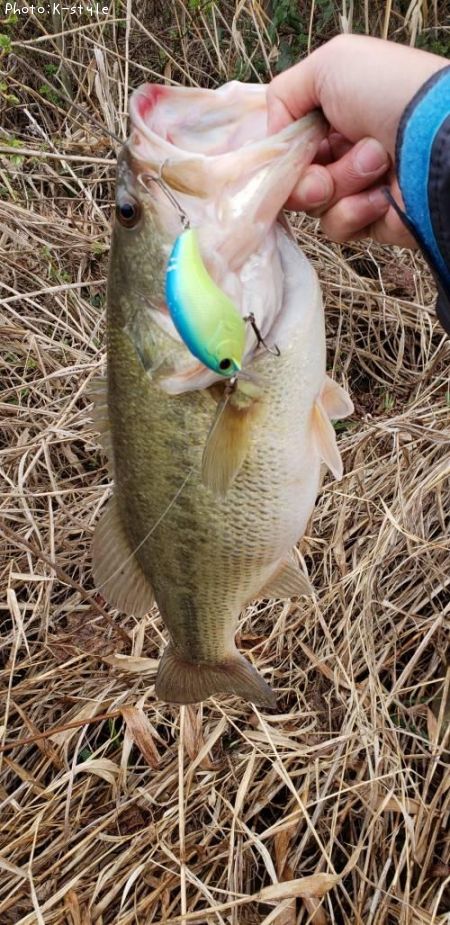 �֥�å��Х�