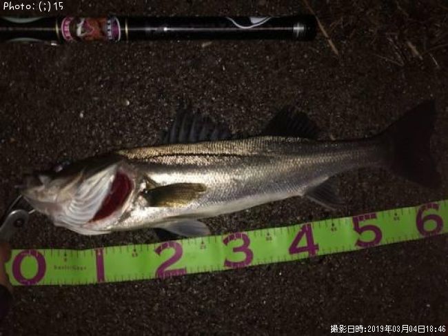 �����Х�