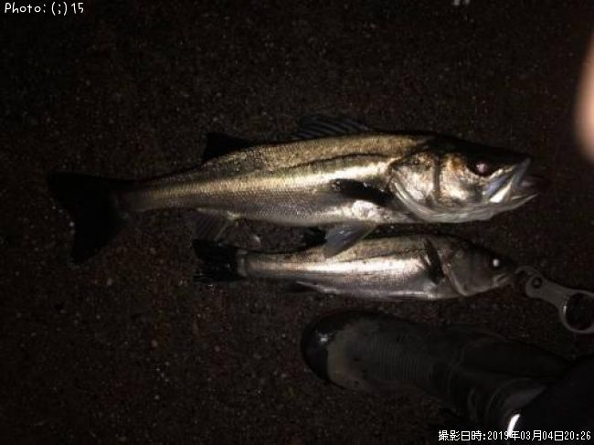 �����Х�