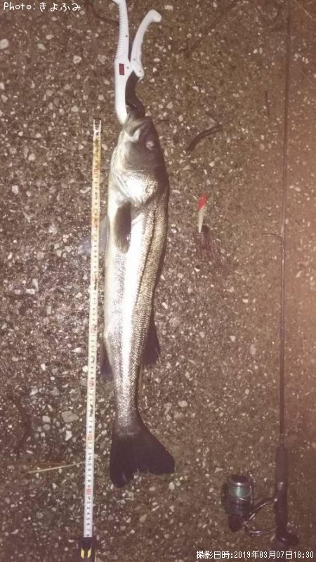 �����Х�