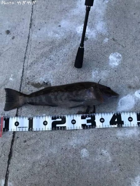 �����ʥ�