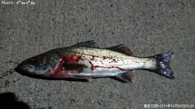 �����Х�