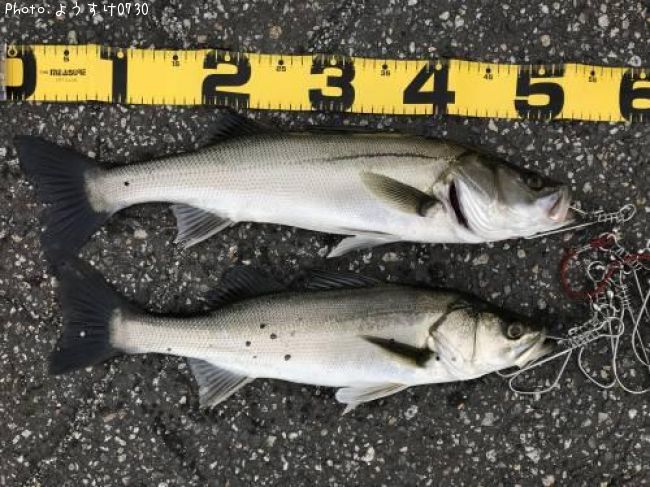 �����Х�