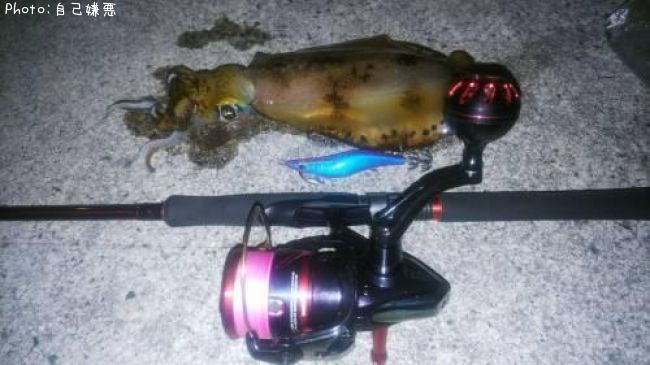 �����ꥤ��