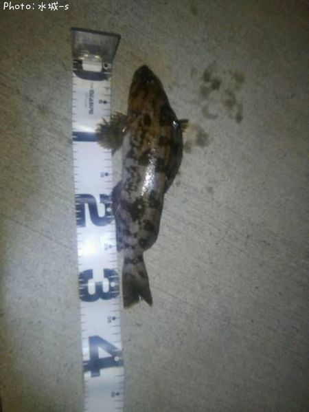 �����ʥ�