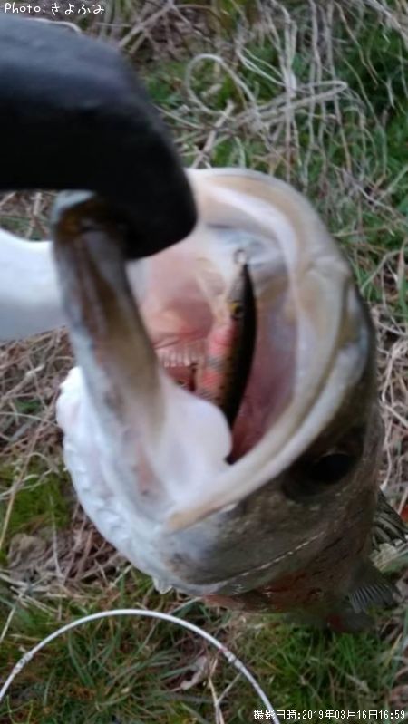 �����Х�